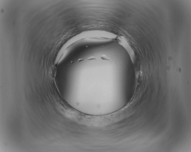 X0000070360045200606301842