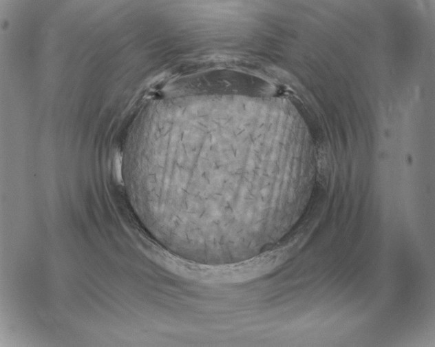 X0000070360046200606301842