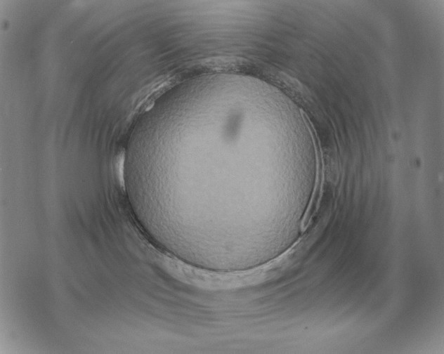 X0000070360047200606301842