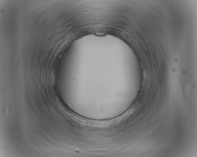 X0000070360048200606301842