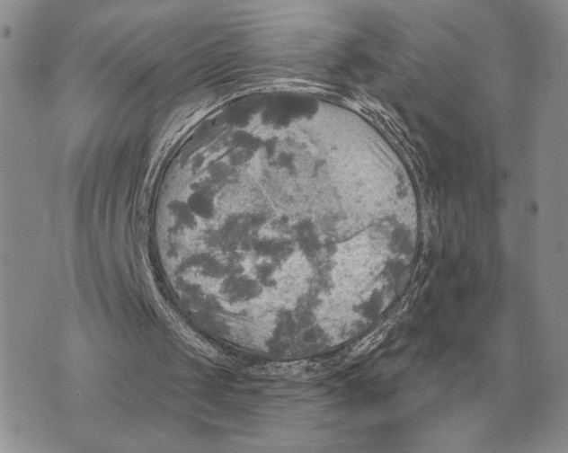 X0000070360049200606301841