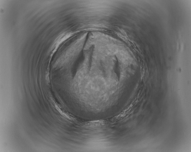 X0000070360050200606301841