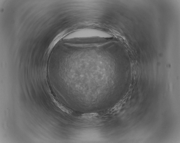 X0000070360051200606301841