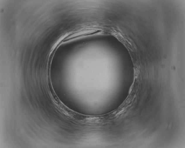 X0000070360052200606301841