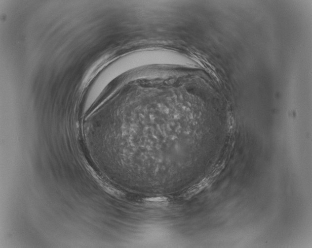 X0000070360053200606301841