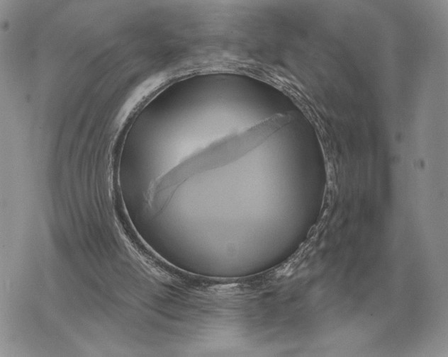 X0000070360054200606301841