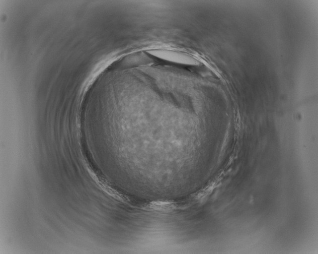 X0000070360055200606301841