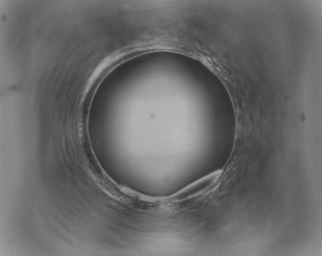 X0000070360056200606301841