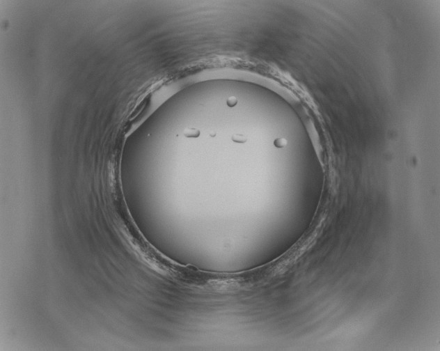 X0000070360057200606301841