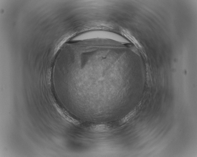 X0000070360058200606301841