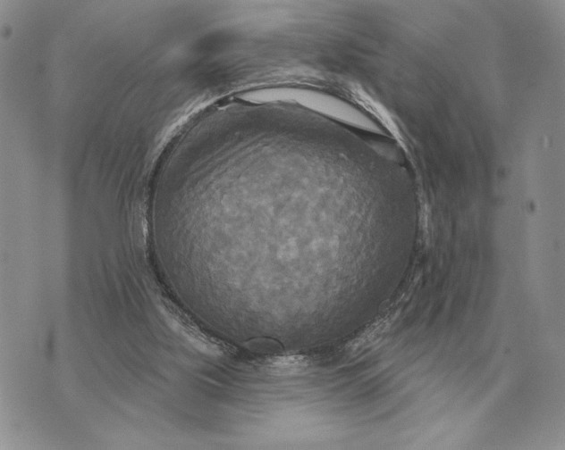 X0000070360059200606301841