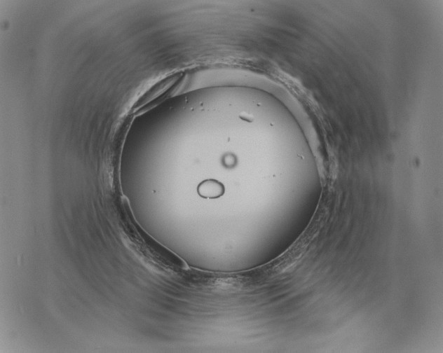 X0000070360060200606301841