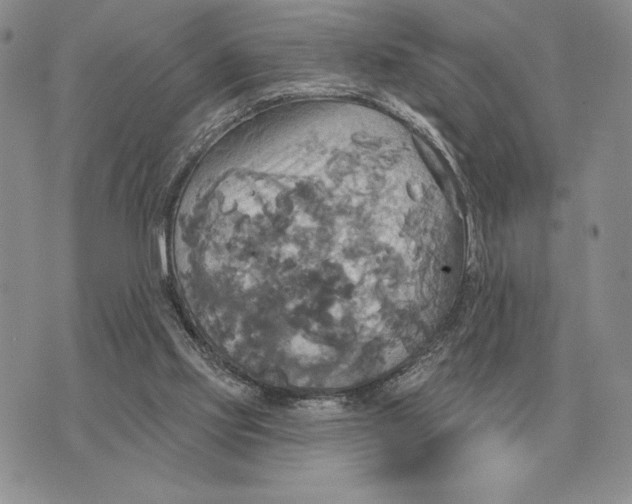 X0000070360061200606301841