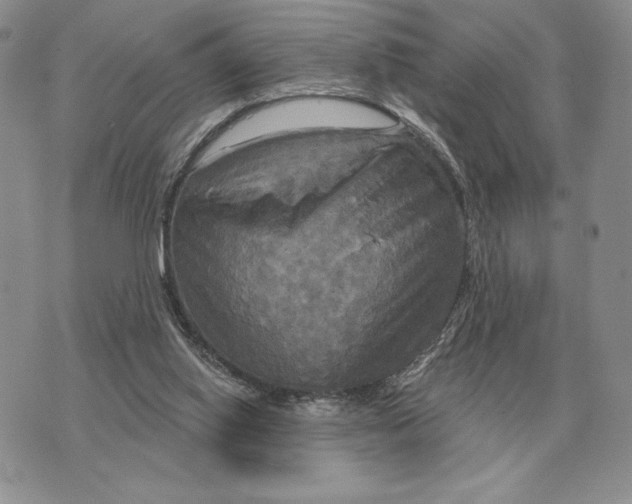 X0000070360062200606301841