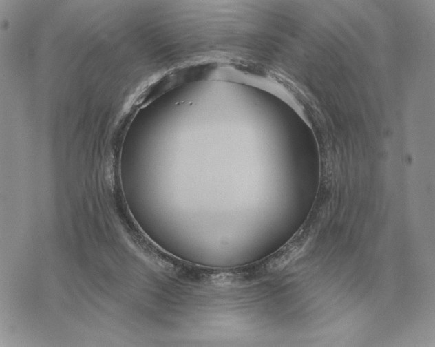 X0000070360064200606301841