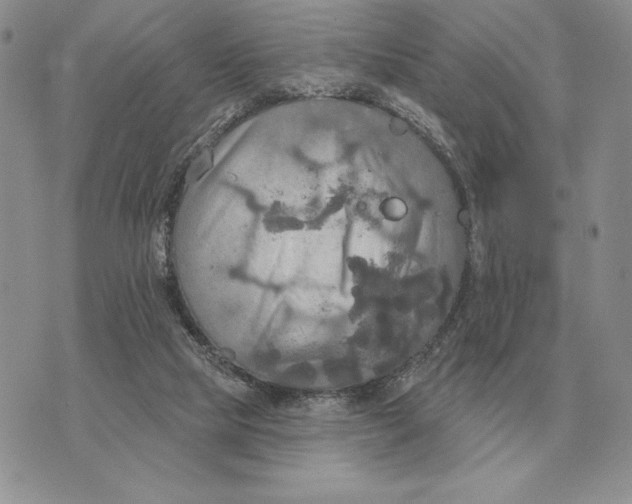 X0000070360065200606301841