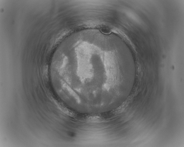 X0000070360066200606301841