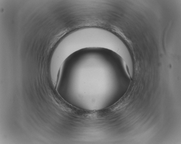 X0000070360068200606301841