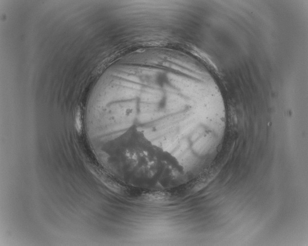 X0000070360069200606301841