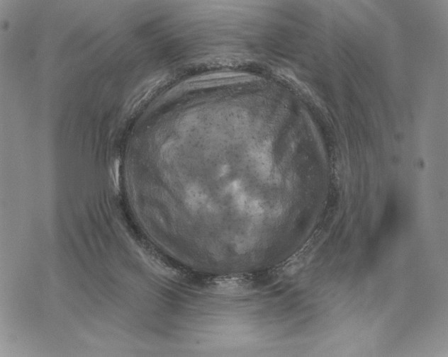 X0000070360070200606301841