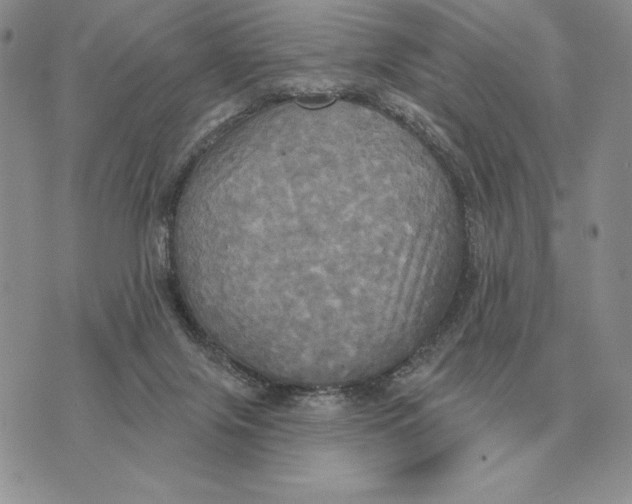 X0000070360071200606301841