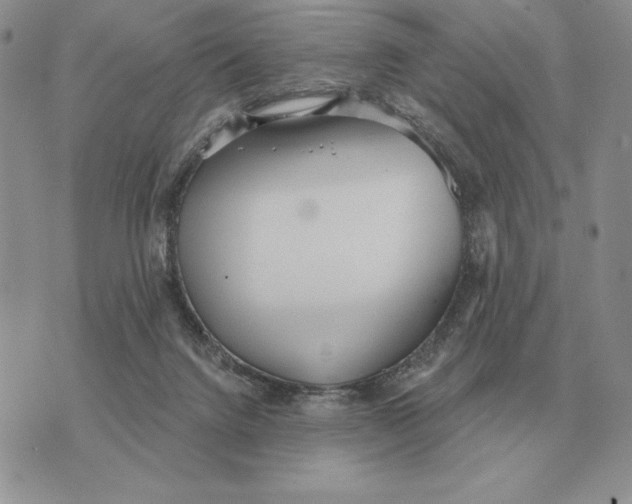 X0000070360072200606301841