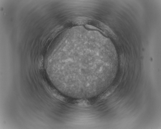 X0000070360073200606301841