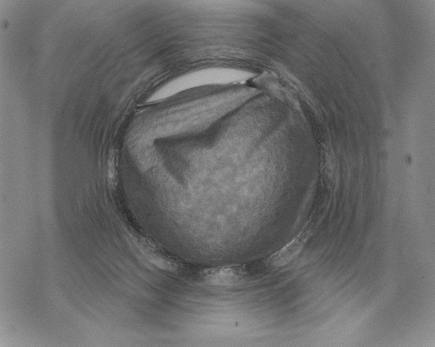 X0000070360074200606301841