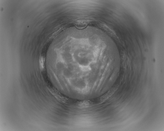 X0000070360075200606301841