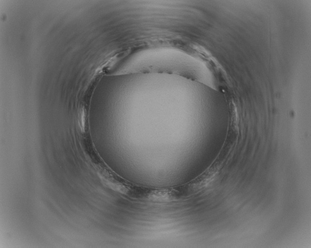 X0000070360076200606301841