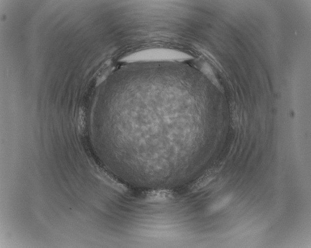 X0000070360077200606301841