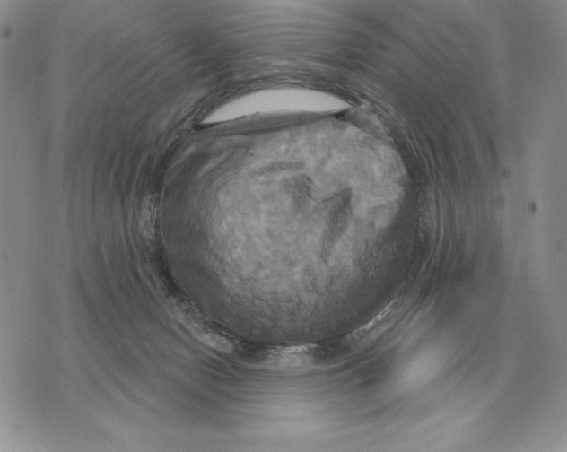 X0000070360078200606301841