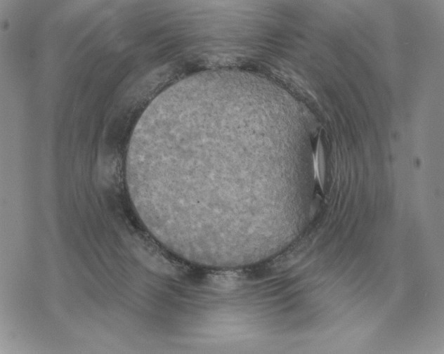 X0000070360079200606301841