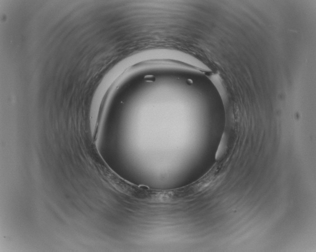 X0000070360080200606301841