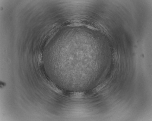 X0000070360081200606301841