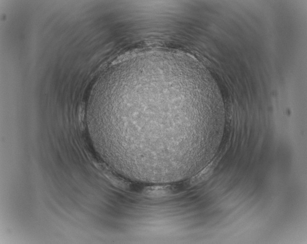 X0000070360082200606301841