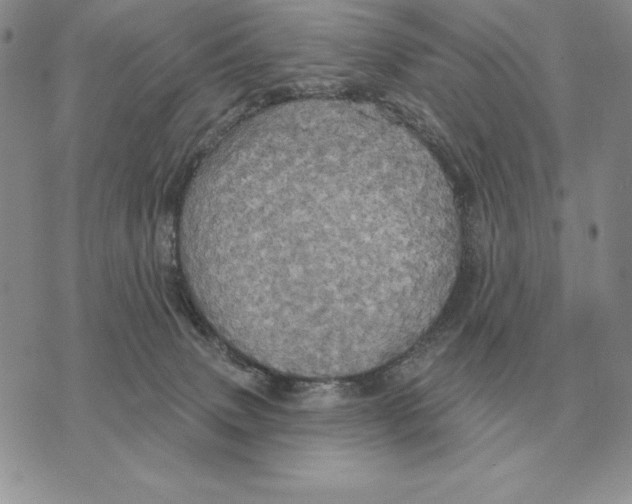 X0000070360083200606301841