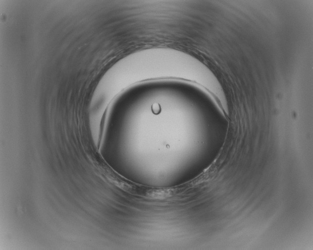 X0000070360084200606301841