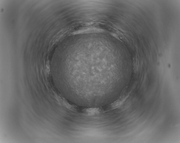 X0000070360085200606301841