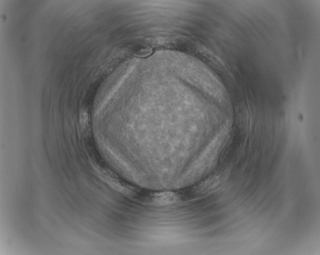 X0000070360087200606301841