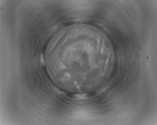 X0000070360089200606301841