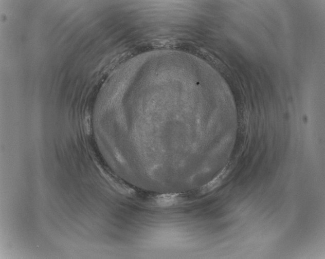 X0000070360090200606301841