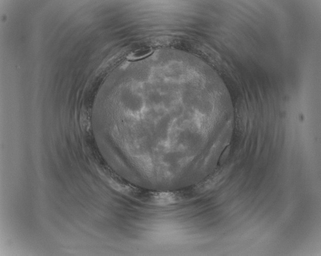 X0000070360091200606301841