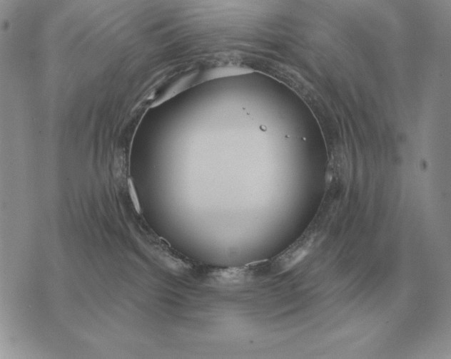 X0000070360092200606301841