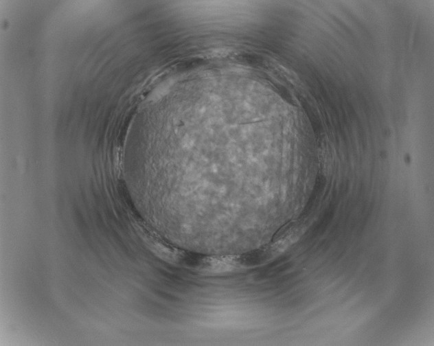 X0000070360093200606301841