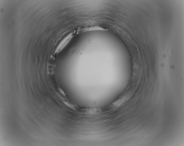 X0000070360096200606301842