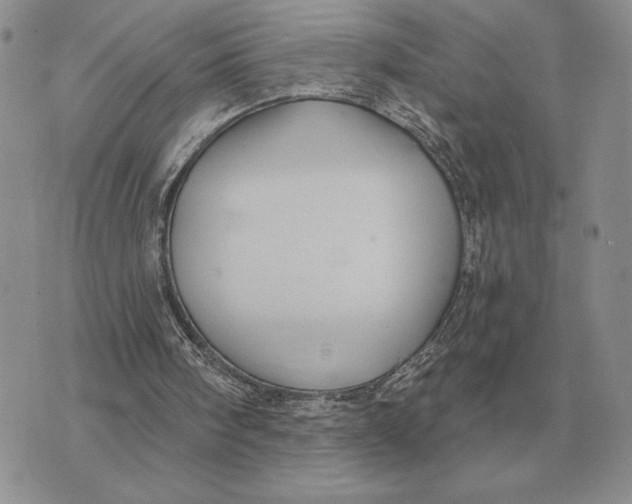 X0000070360098200606301841