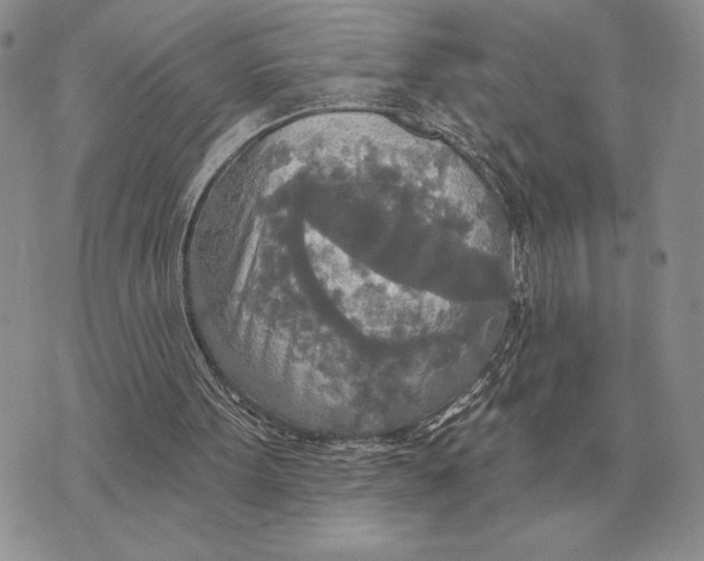 X0000070360099200606301841