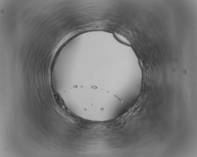 X0000070360100200606301841