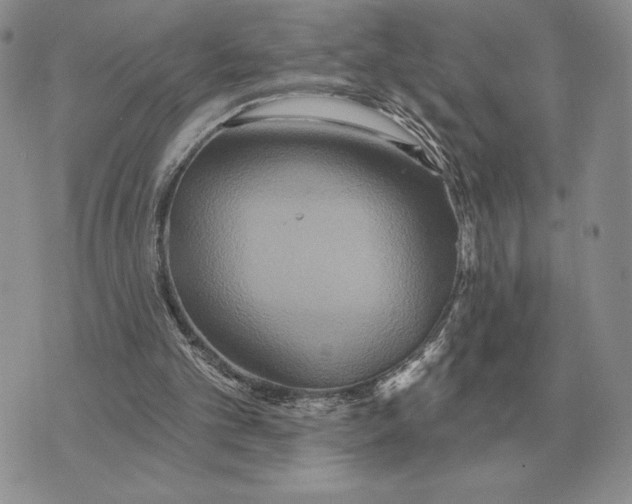 X0000070360101200606301841